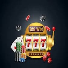 bet556
