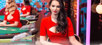 bet556