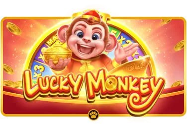 bet556